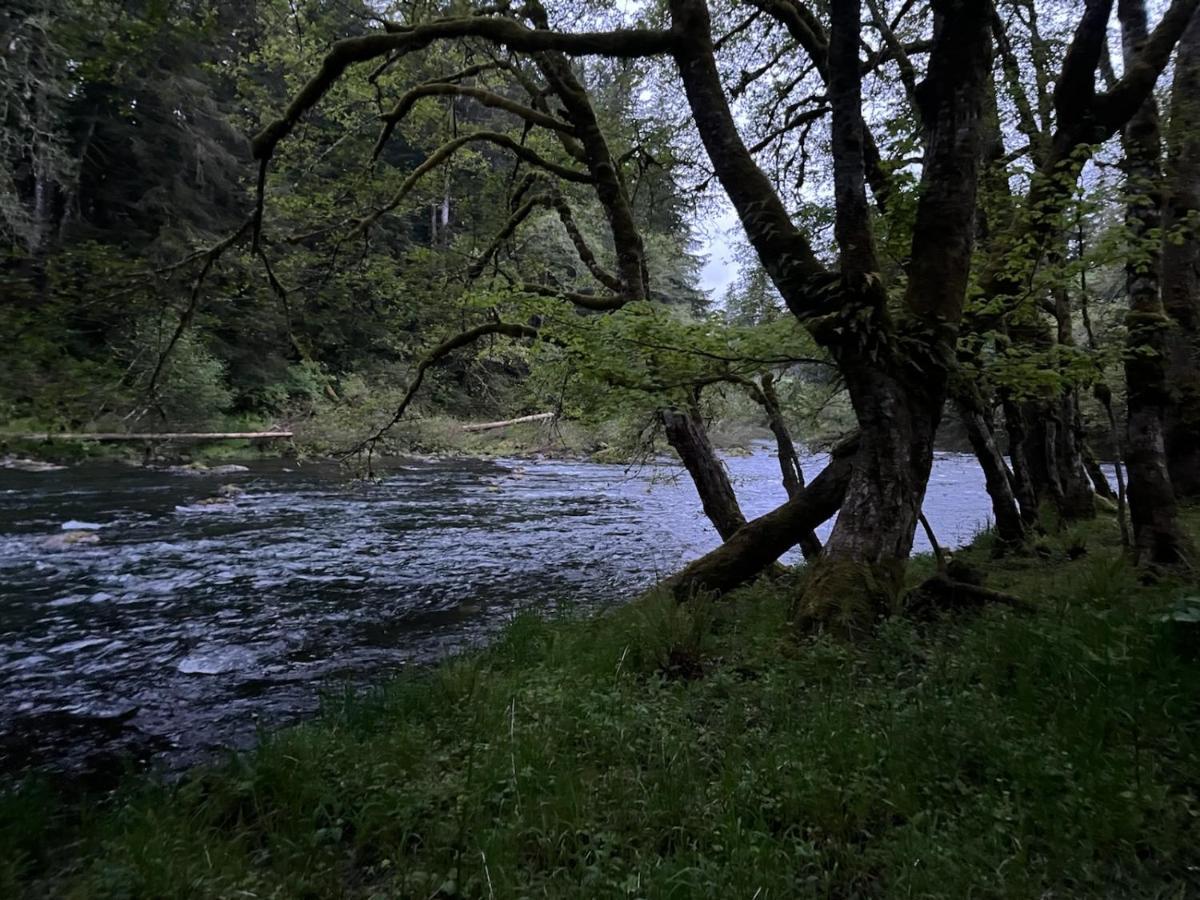 A Relaxing Getaway-A Backwoods Cabin Solduc River Beaver Zewnętrze zdjęcie